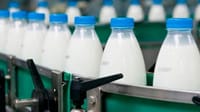 Госантимонополия порекомендовала молочным предприятиям в Оше уменьшить закупочную цену молока изображение публикации
