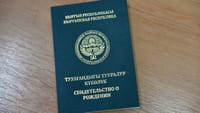 Проект регистрации новорожденных в Кыргызстане вошел в топ-20 мировых цифровых инициатив изображение публикации