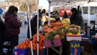 В Бишкеке пройдет ярмарка социально значимых продуктов изображение публикации