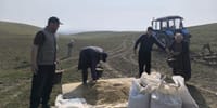 Минсельхоз объявил тендер на закупку семян для восстановления пастбищ изображение публикации