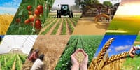 Сельхозкластеры Кыргызстана за I квартал 2025 года профинансировали на 840 млн сомов изображение публикации