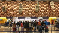 Отмена рейса Дели – Бишкек: Кыргызстанцам ищут альтернативные рейсы для возвращения на родину изображение публикации