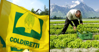 Ассоциация сельхозпроизводителей Италии хочет привлекать работников из Кыргызстана изображение публикации