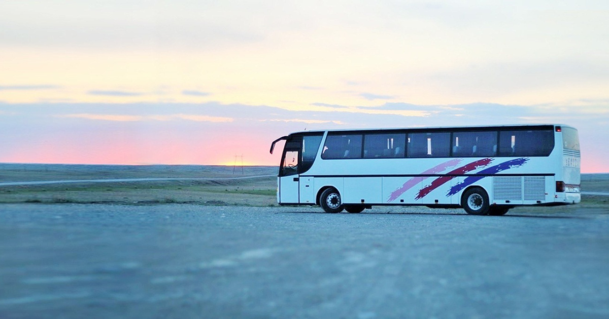 Из Бишкека запустят прямой рейс в Омск - только автобусный
