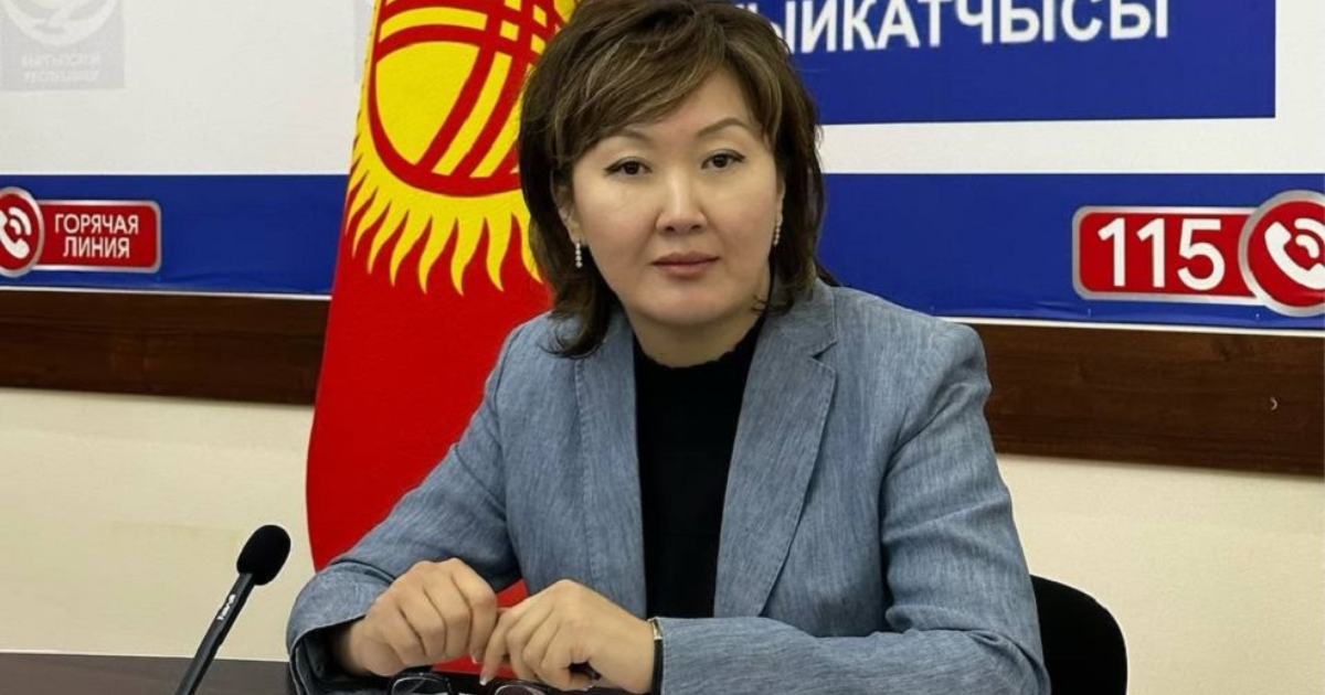 Уполномоченная по правам человека в Кыргызстане попросила депутатов ЖК отозвать законопроект об НКО