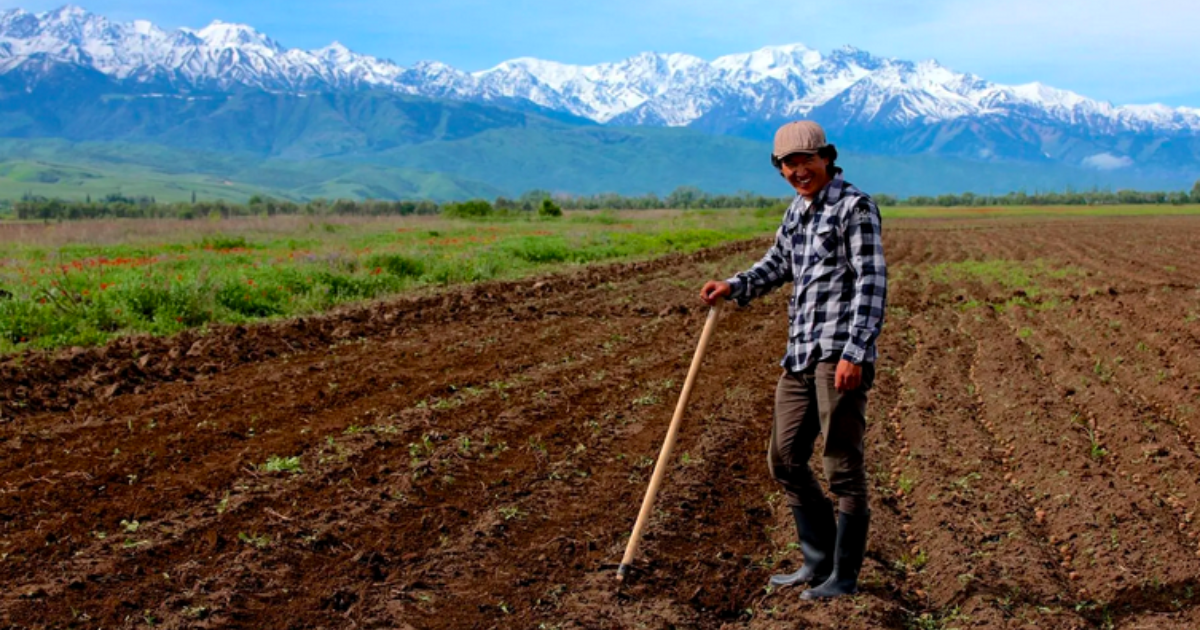 Цены сельхозпроизводителей в Кыргызстане растут из-за политики поддержки фермеров - Госантимонополия