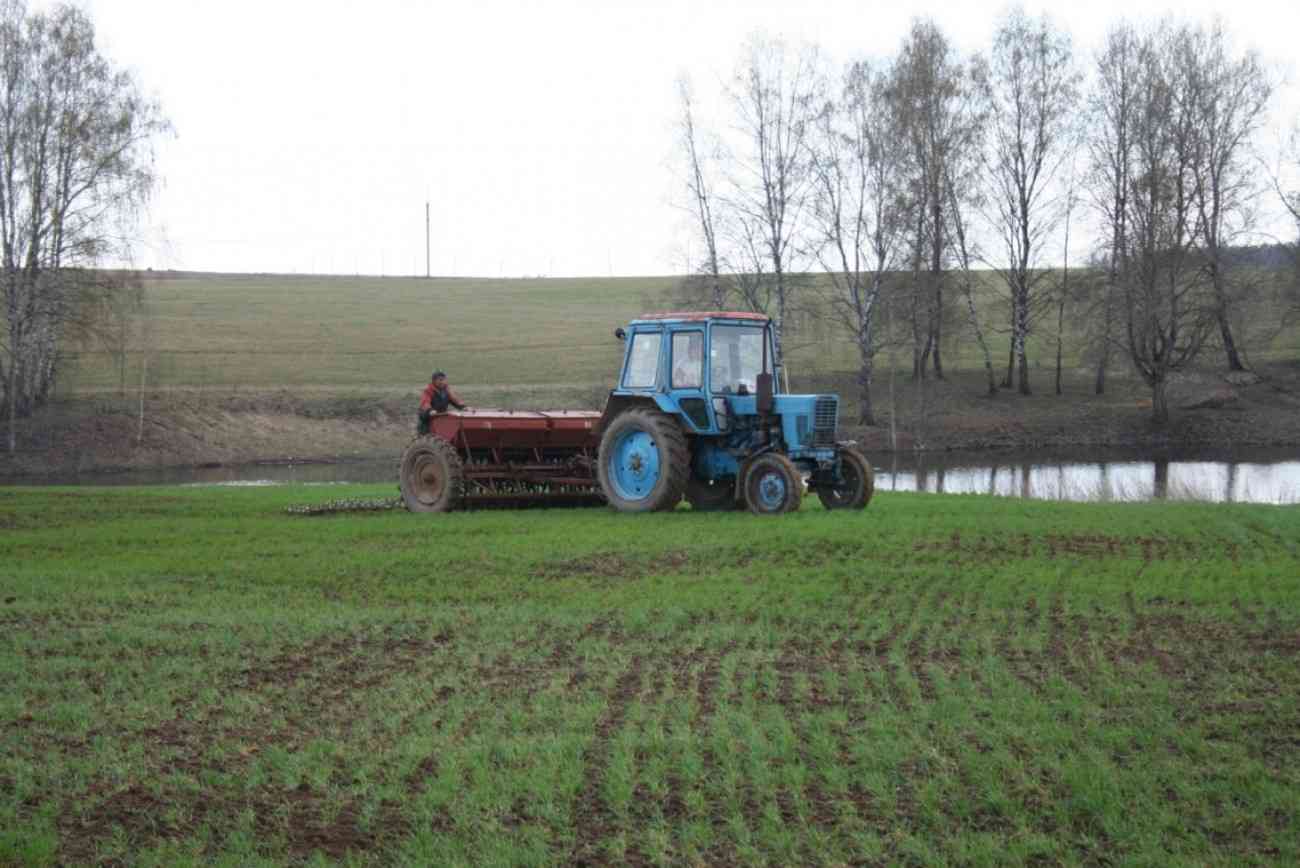Чтобы попасть в Кыргызстан фермер погасил в России долги на 245 тысяч рублей