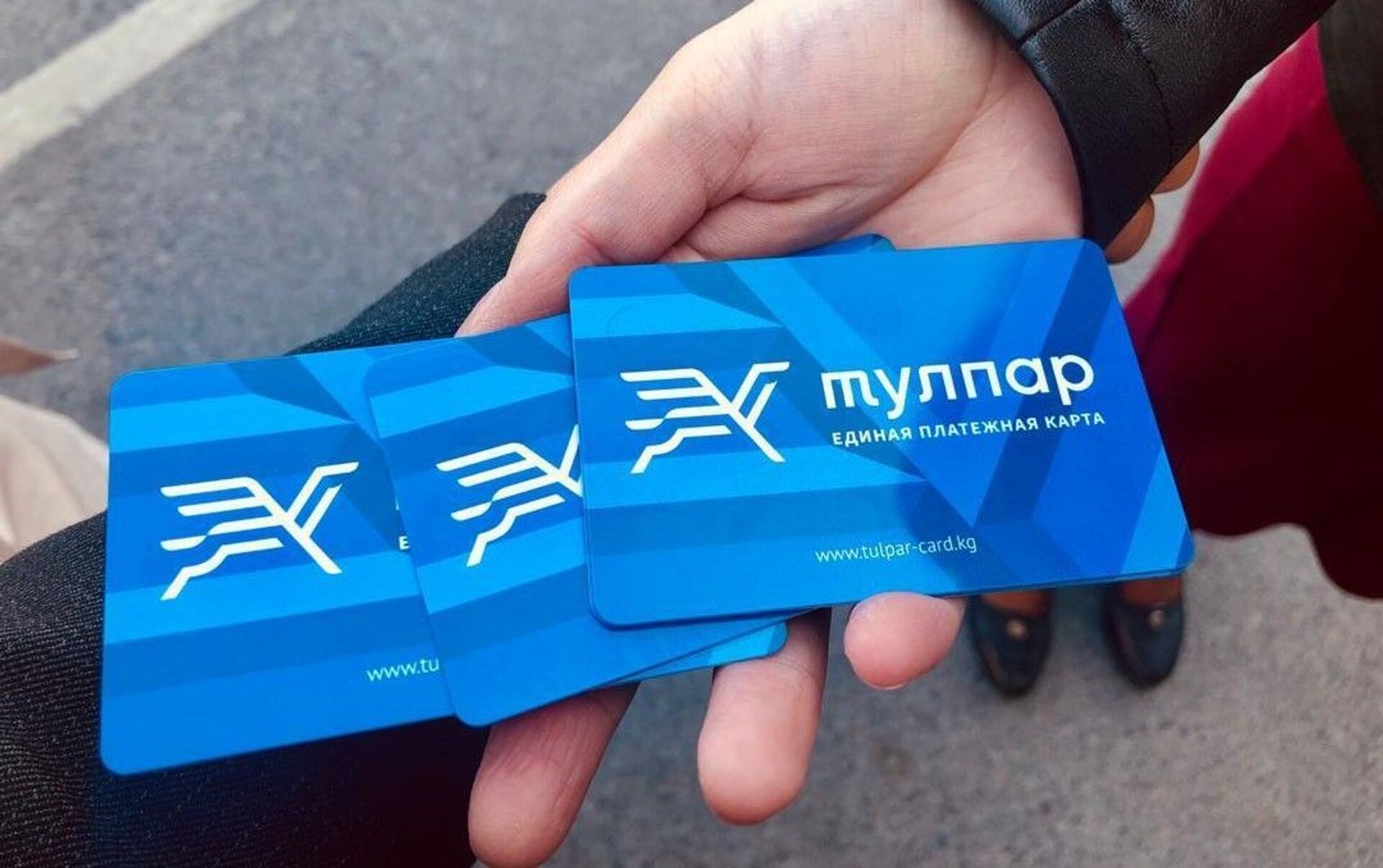 Карта "Тулпар" будет основным способом оплаты проезда в Бишкеке - как ее получить?