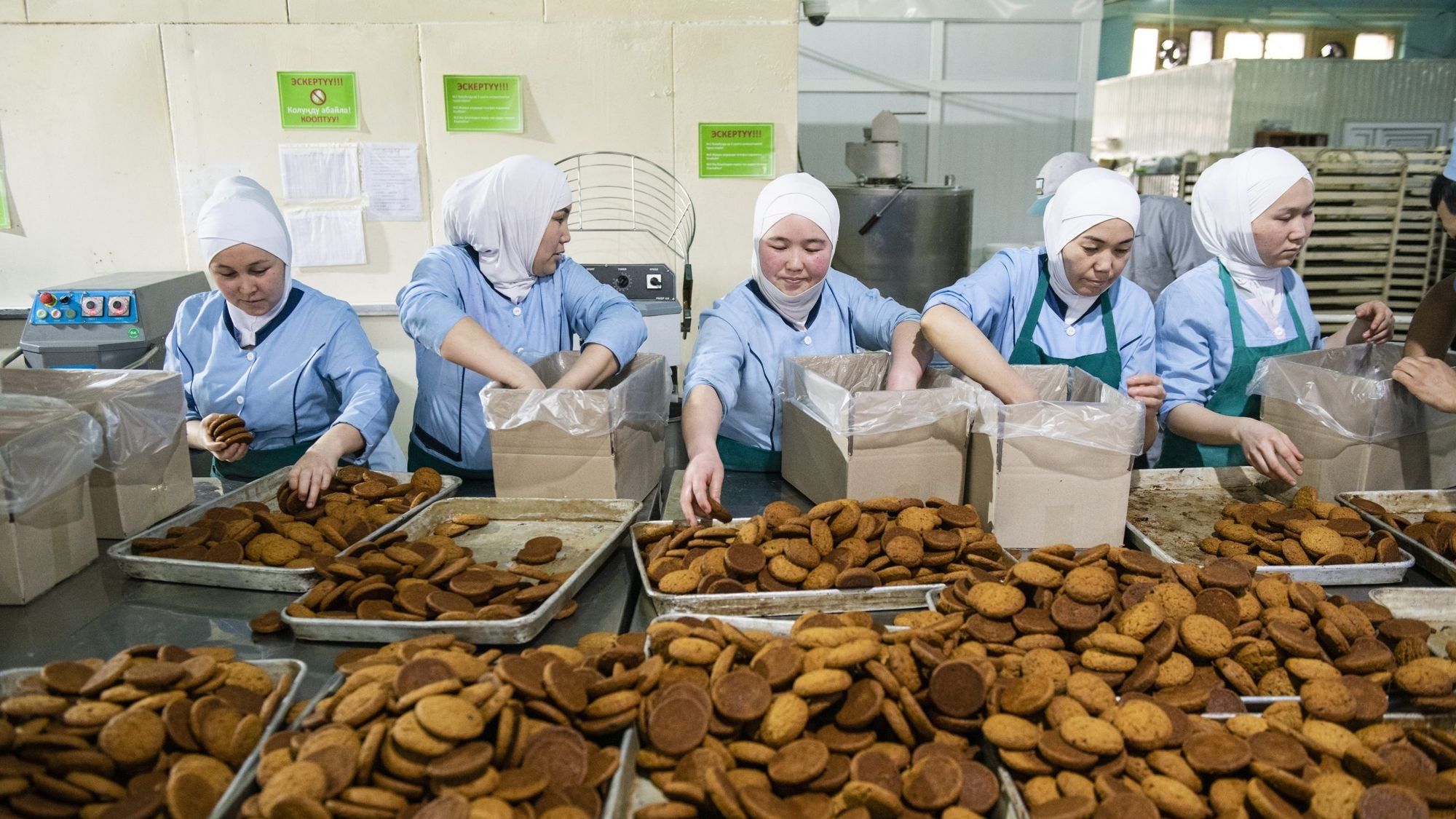 Безработица в Кыргызстане чуть ниже здорового уровня - сравнение с другими странами ЕАЭС