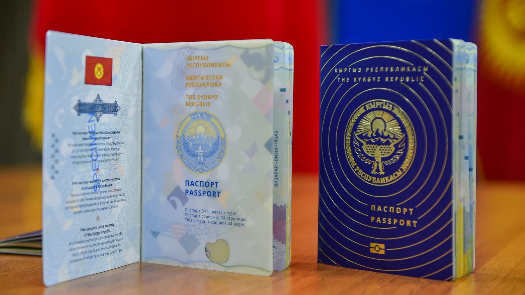 Оформить паспорт Кыргызстана можно будет через посредника — Минцифры подготовило пилотный проект