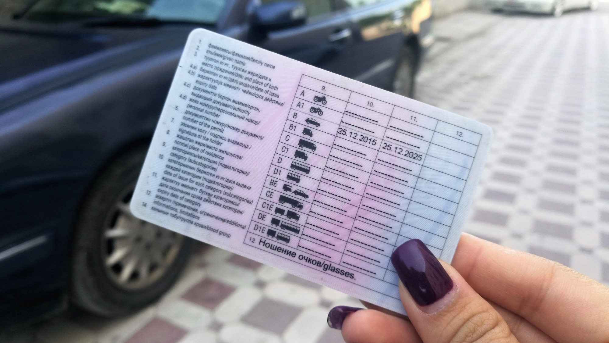 В Казахстане запретили ездить с водительскими удостоверениями Кыргызстана? Ответ МИД