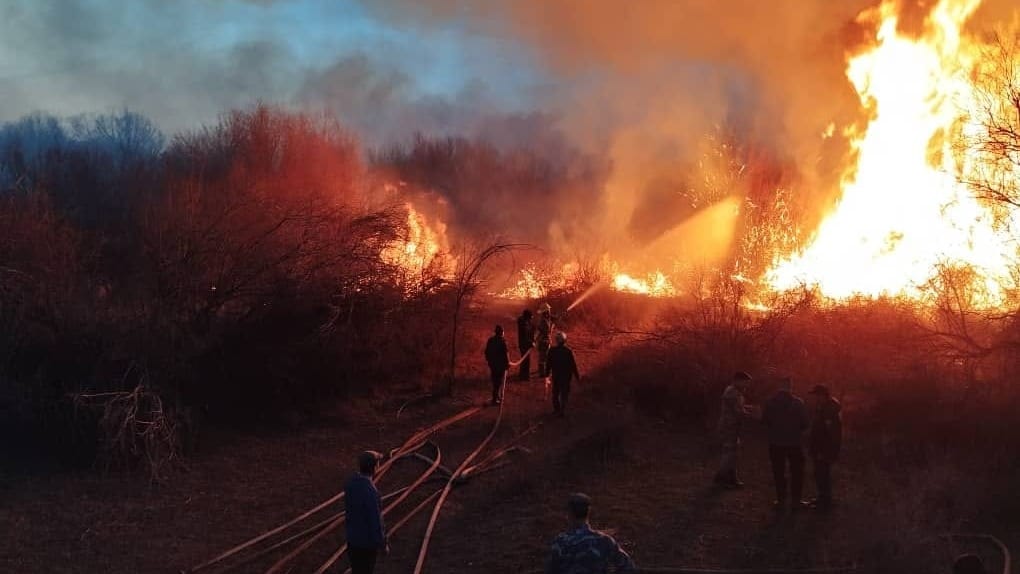 Лесной пожар, Таласская область.