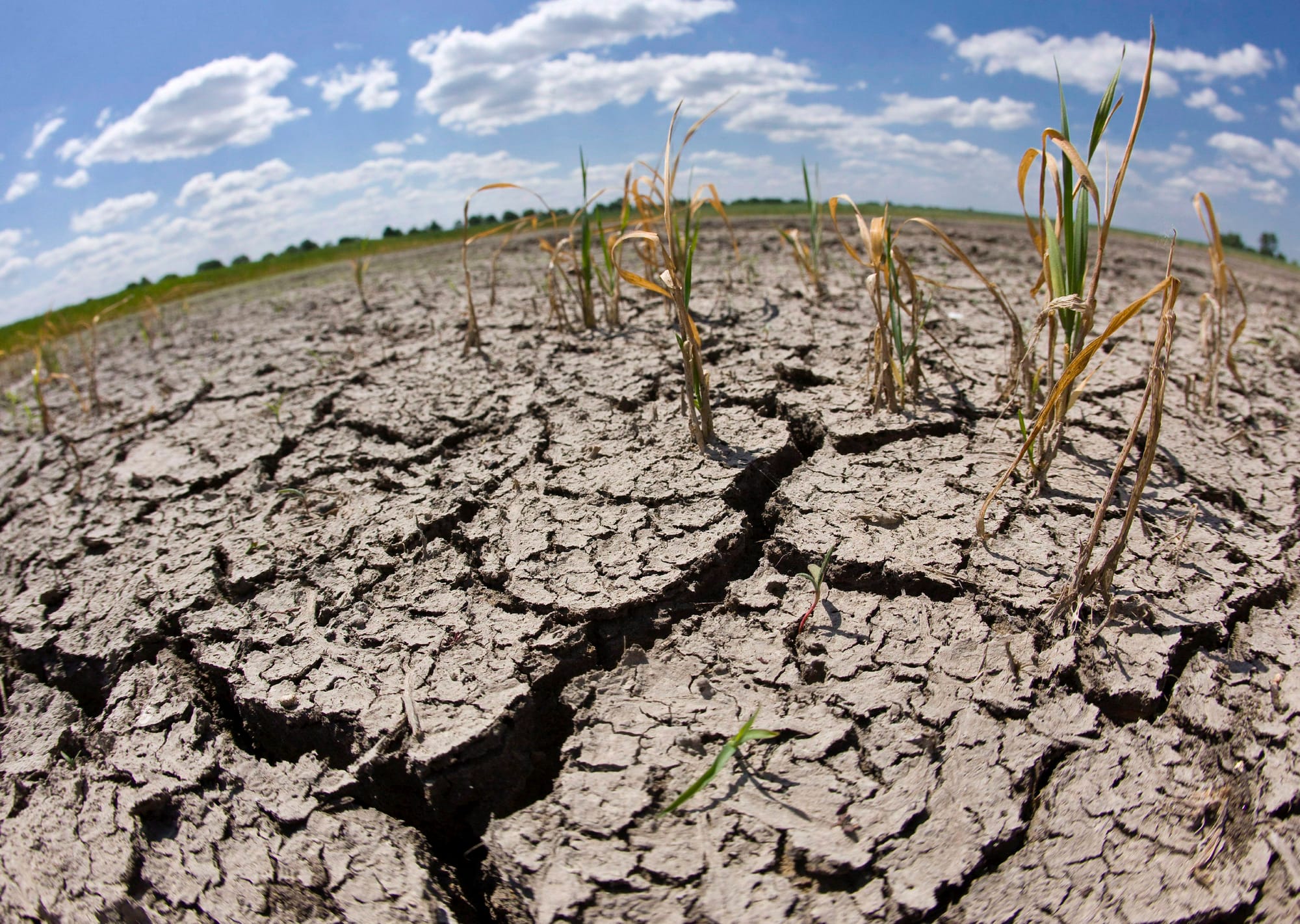 Казахстан готовится к засухе из-за недостатка воды в Кыргызстане и Узбекистане