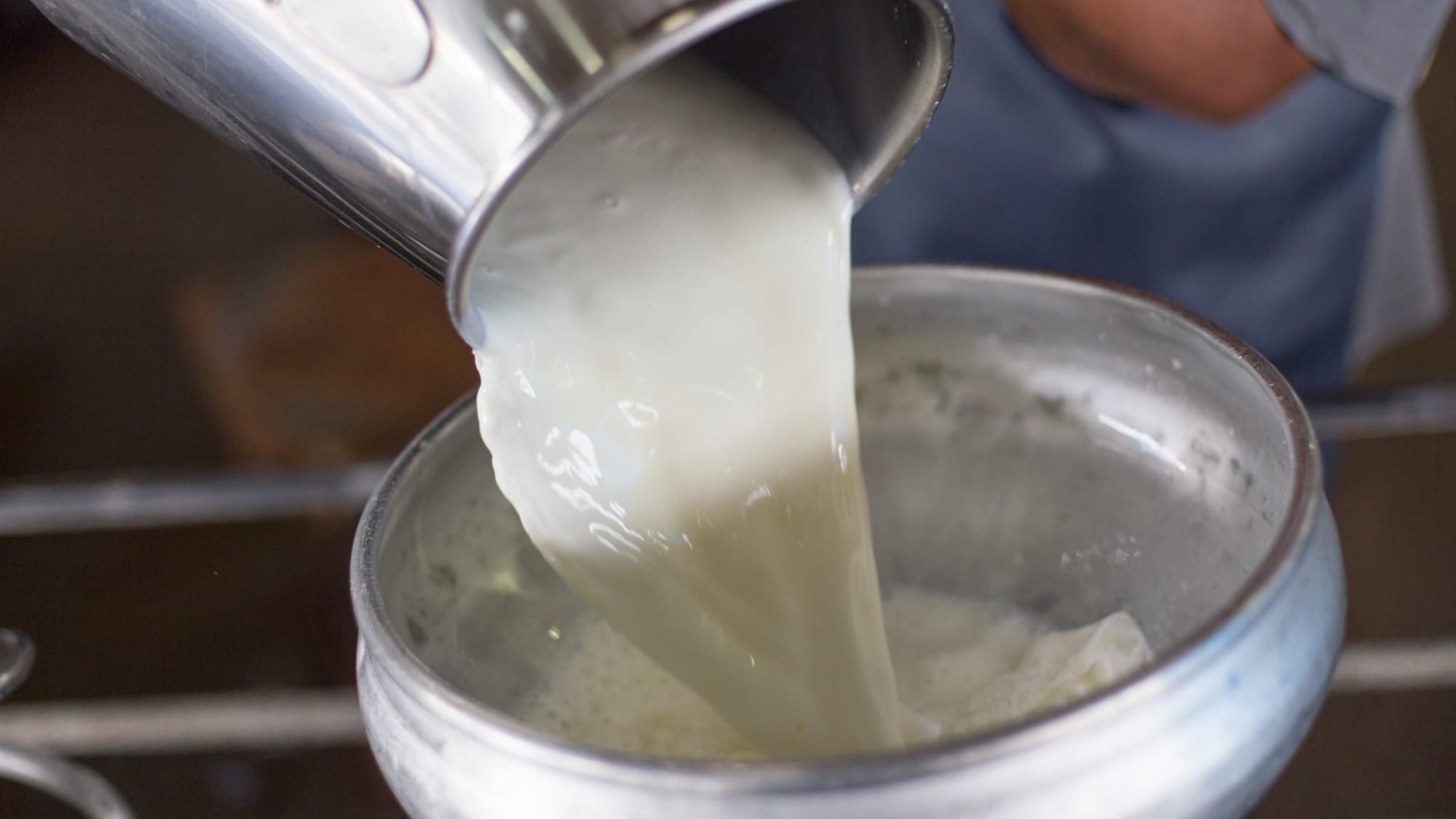 В ЖК инициировали законопроект о госрегулировании закупочных цен на молоко