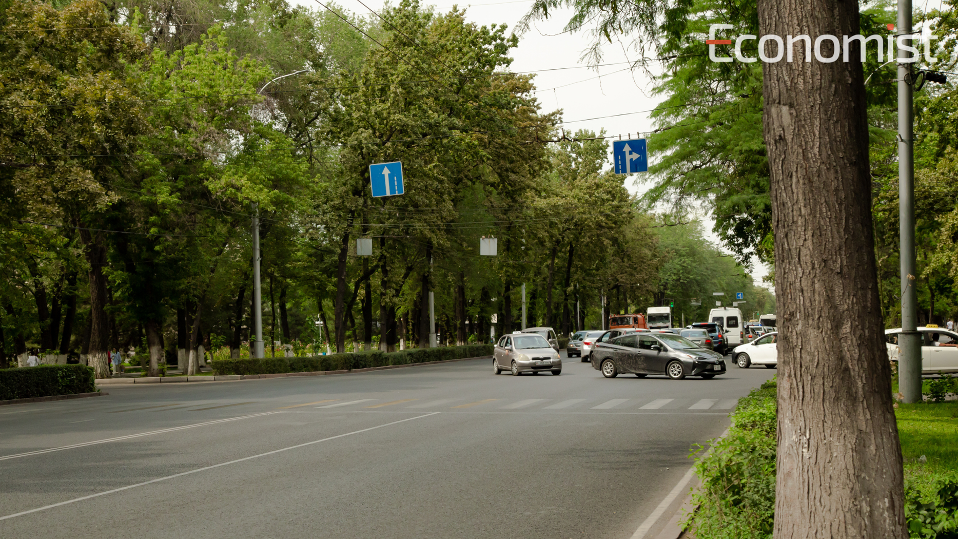 Строительство одной из запланированных трасс в Бишкеке завершится III квартале 2024 года