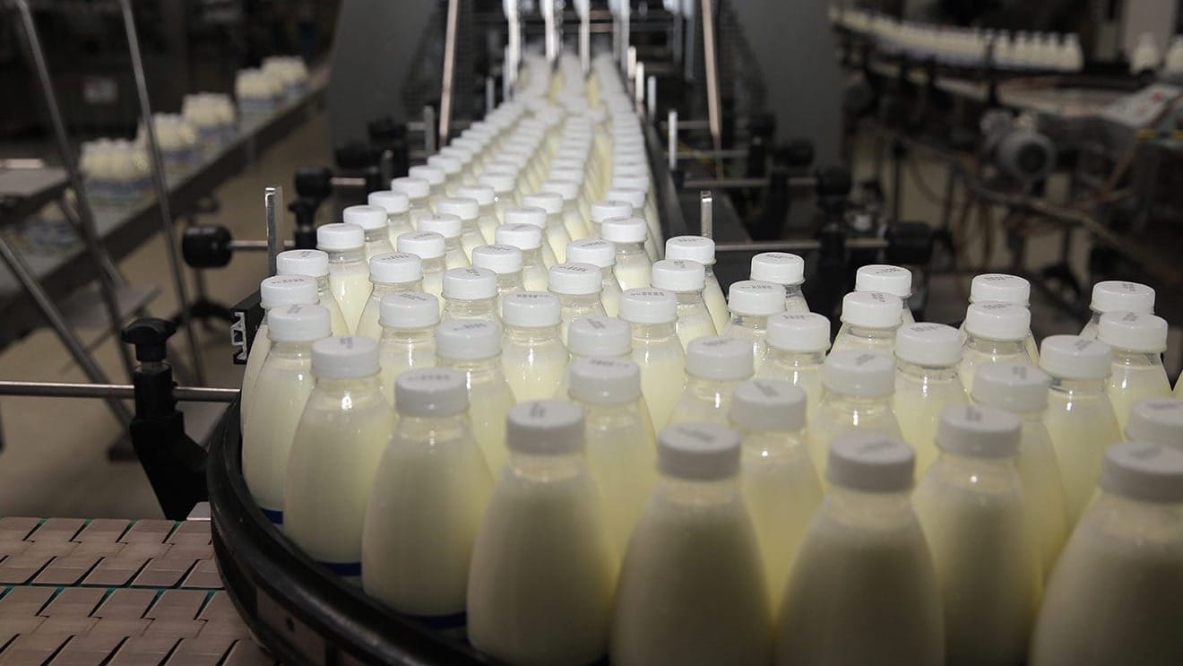 Производители молока в КР обеспокоены постановлением о регулировании закупочных цен