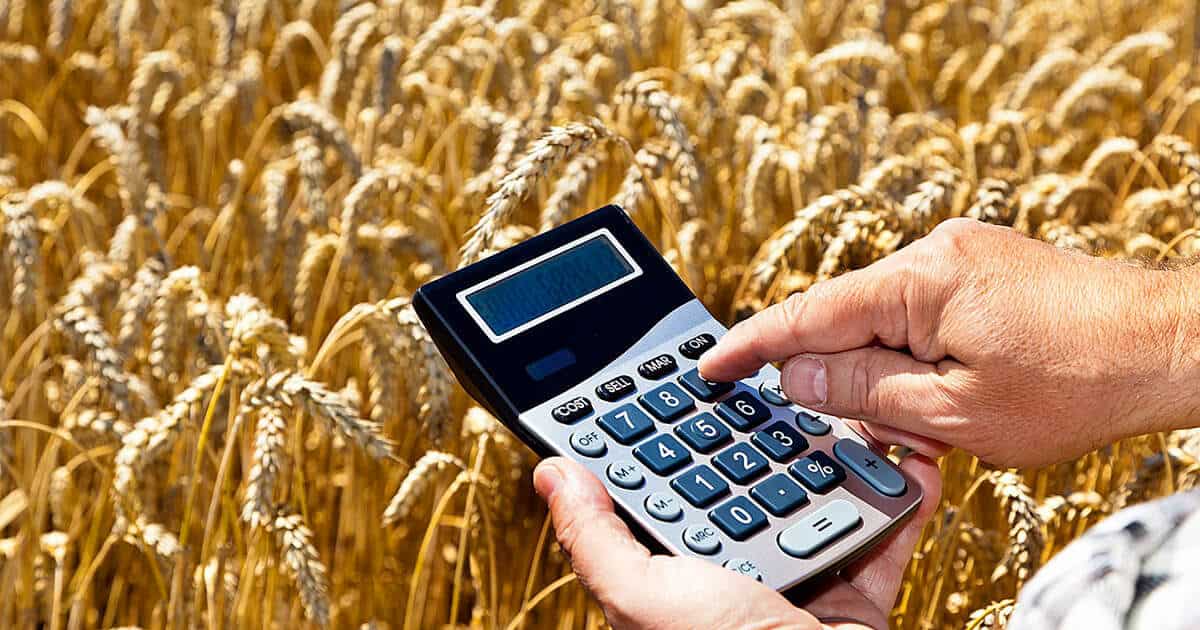 Экспорт сельхозпродукции КР сократился на 6% — Минсельхоз