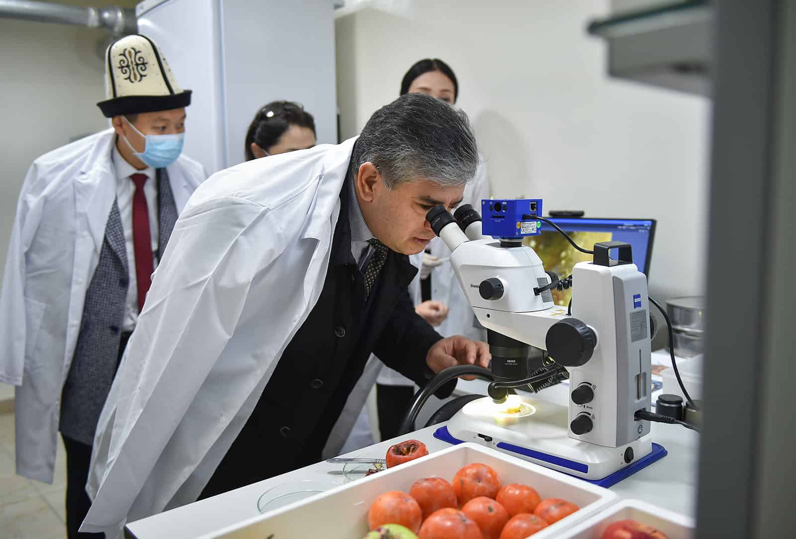 Развитие лабораторий позволит беспрепятственно экспортировать сельхозпродукцию — вице-премьер