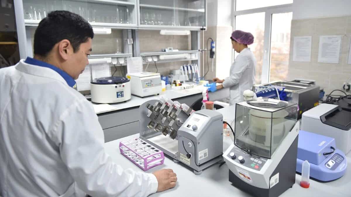 Частные лаборатории и медцентры снизят стоимость услуг ПЦР-теста и КТ