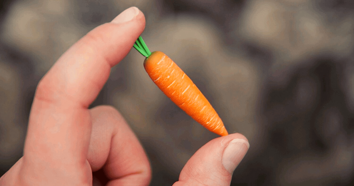Начато антимонопольное расследование в отношении поставщиков моркови