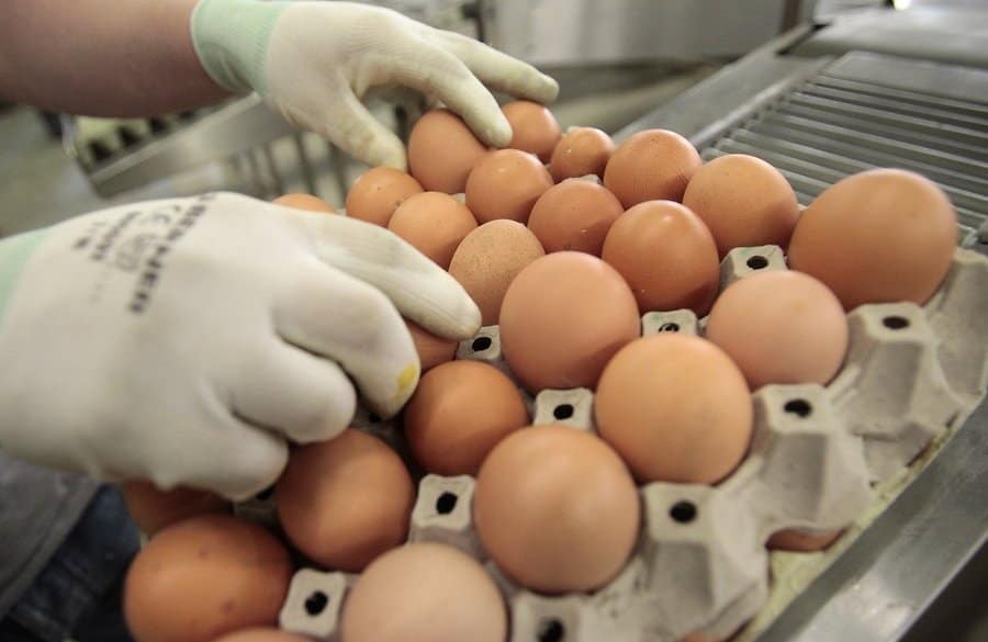 Бишкек обогнал другие столицы ЕАЭС по ценам на яйца