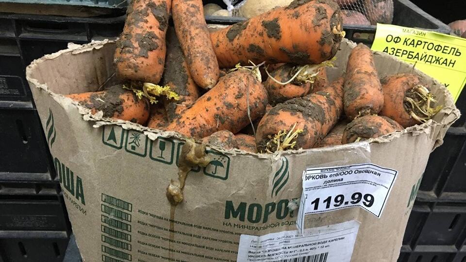 Правоохранительные органы расследуют рост цен на морковь в июне