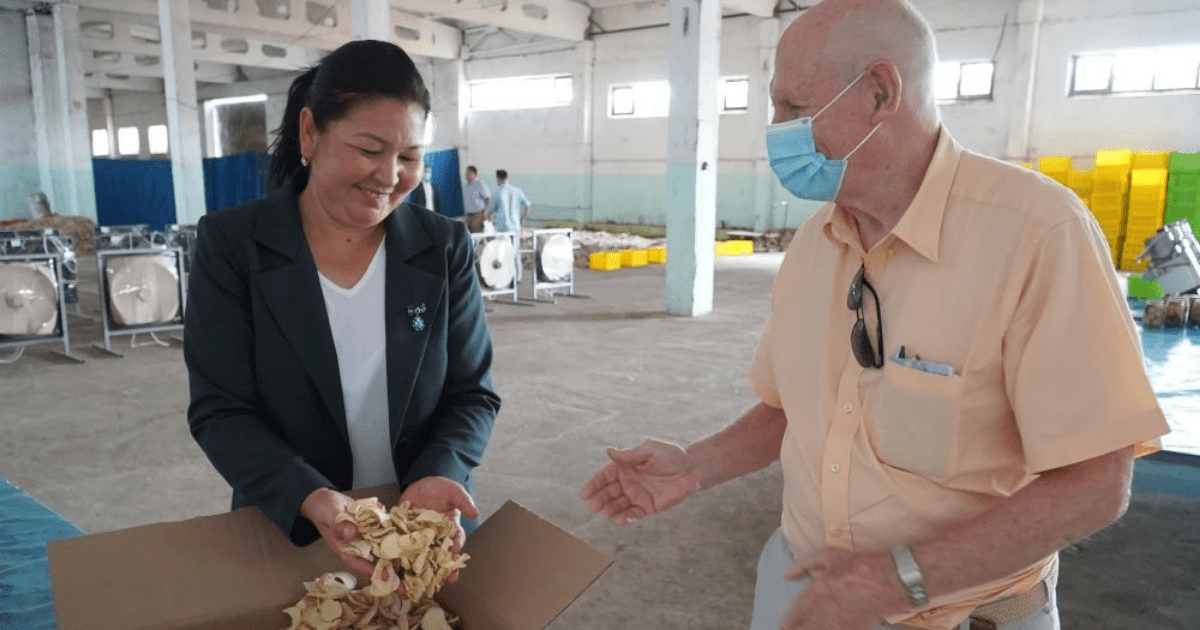 USAID поддержал предприятие по производству чеснока в Джалал-Абаде