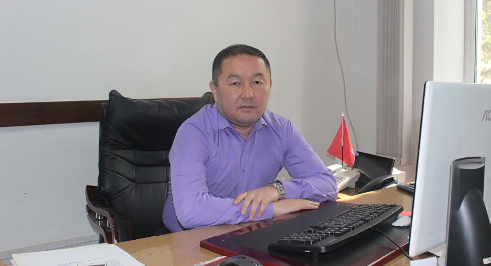 Политика «кустуризации» отрицательно повлияет на инвесторов, – Чекирбаев