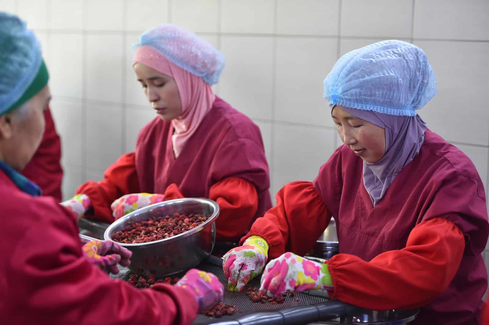 Отечественное предприятие экспортирует сушеные ягоды в  Россию, Казахстан и Японию. ФОТО