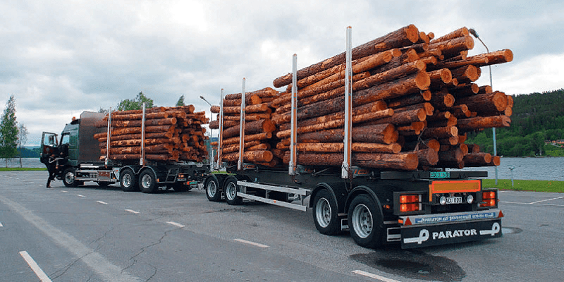Введен временный запрет на вывоз древесины и лесоматериалов за пределы ЕАЭС