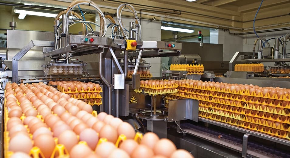 РКФР выдаст $1 млн на проект по производству куриных яиц