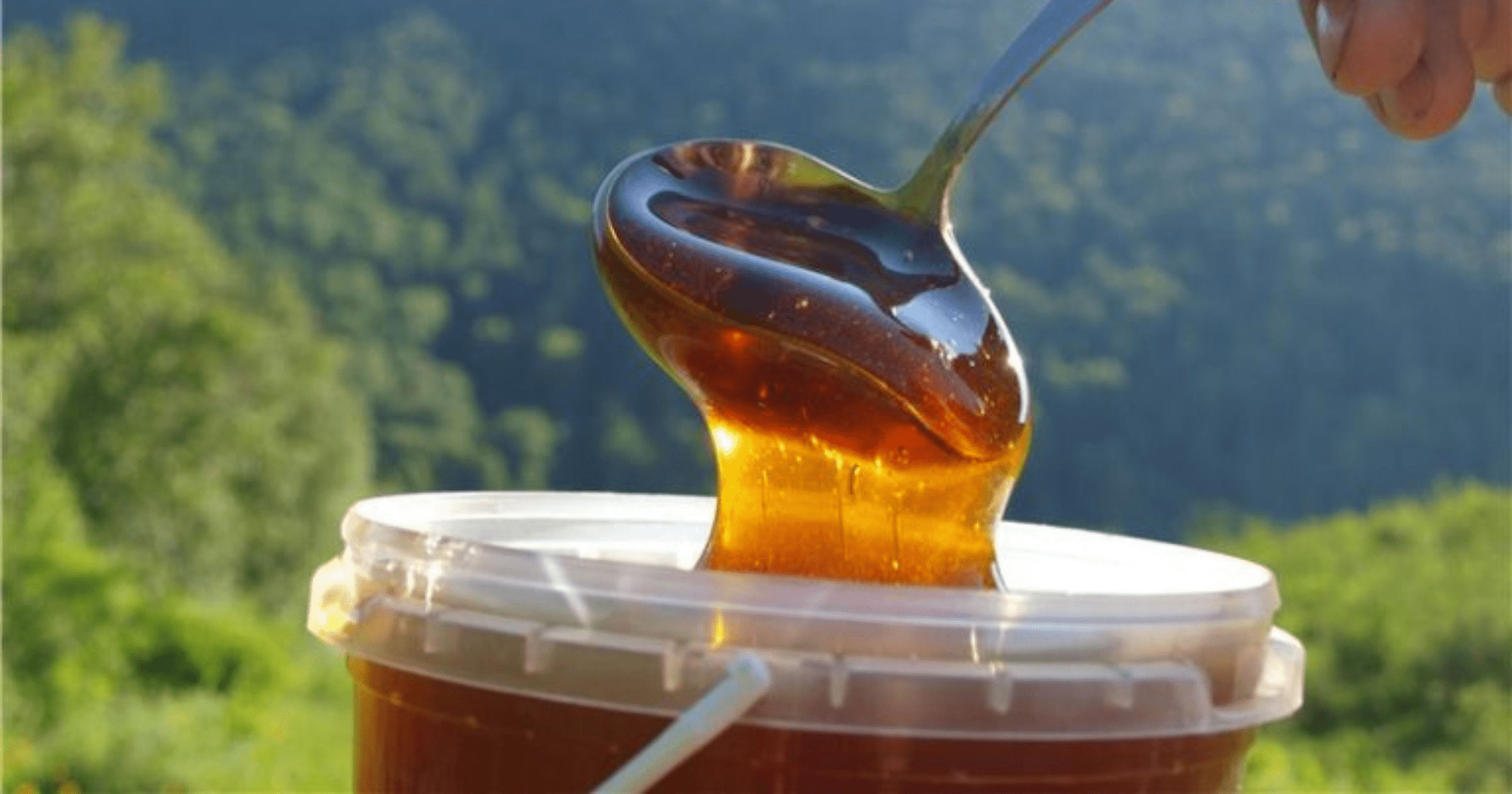 Венгерская компания будет экспортировать мед из Кыргызстана в Европу