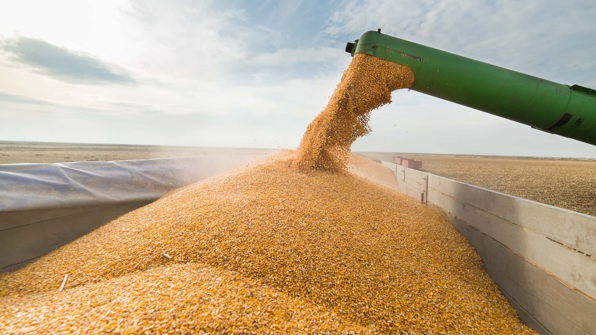 Казахстан снимает ограничения на экспорт зерна и муки