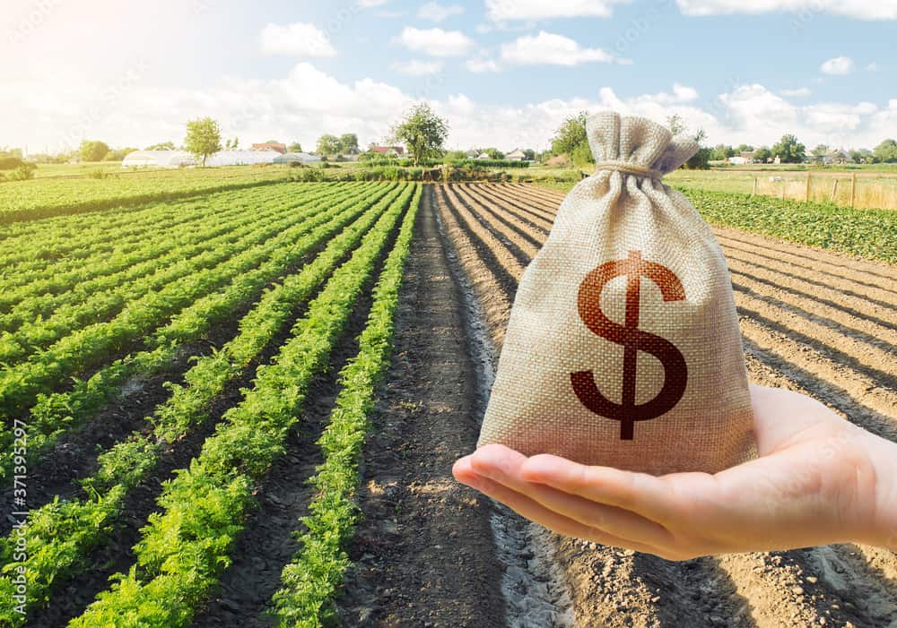 Льготные кредиты для фермеров использовали для выдачи кредитов частным лицам под более высокий процент