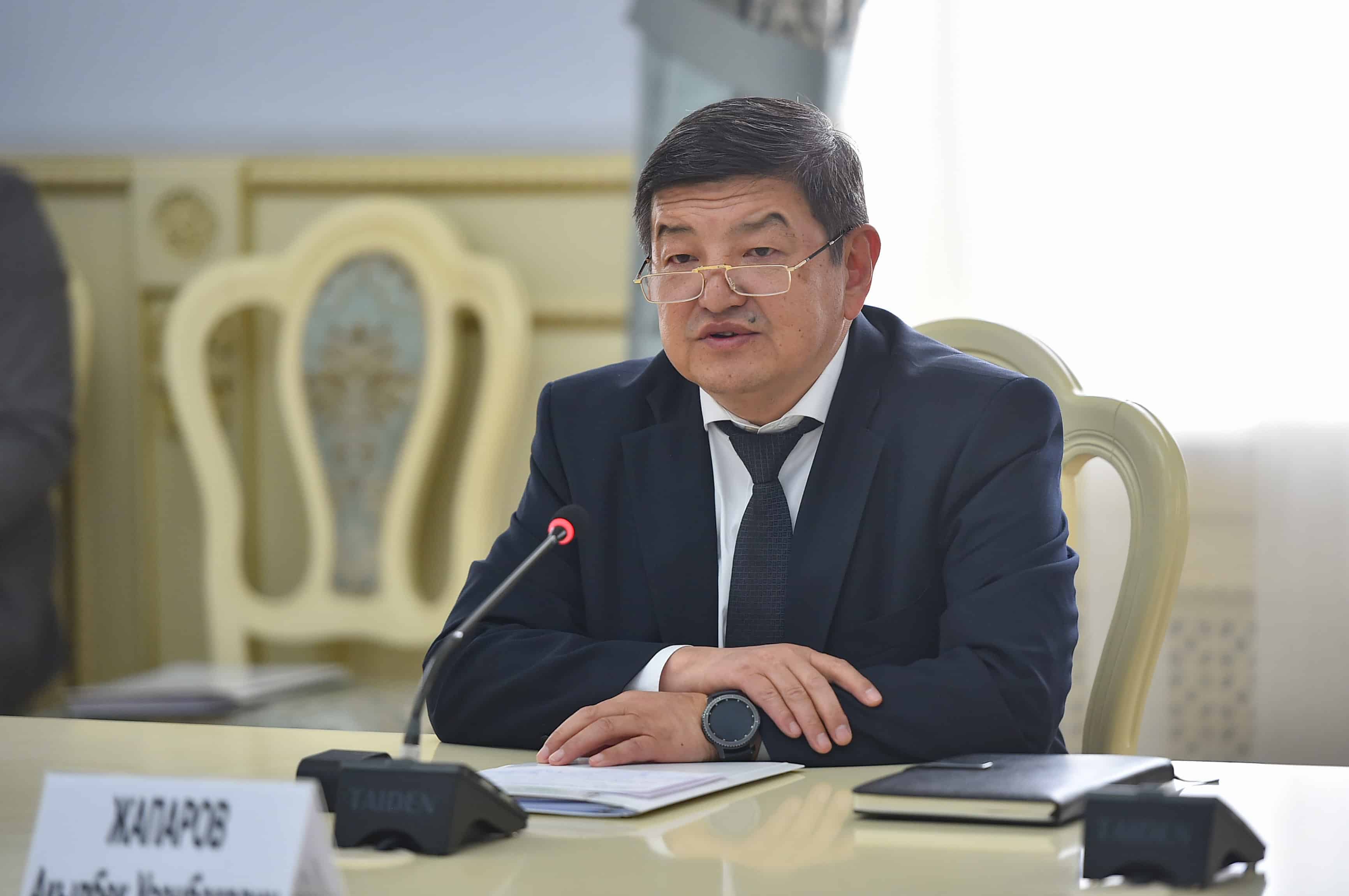 Акылбек Жапаров обсудил с вице-президентом АБР развитие возобновляемых источников энергии в Кыргызстане