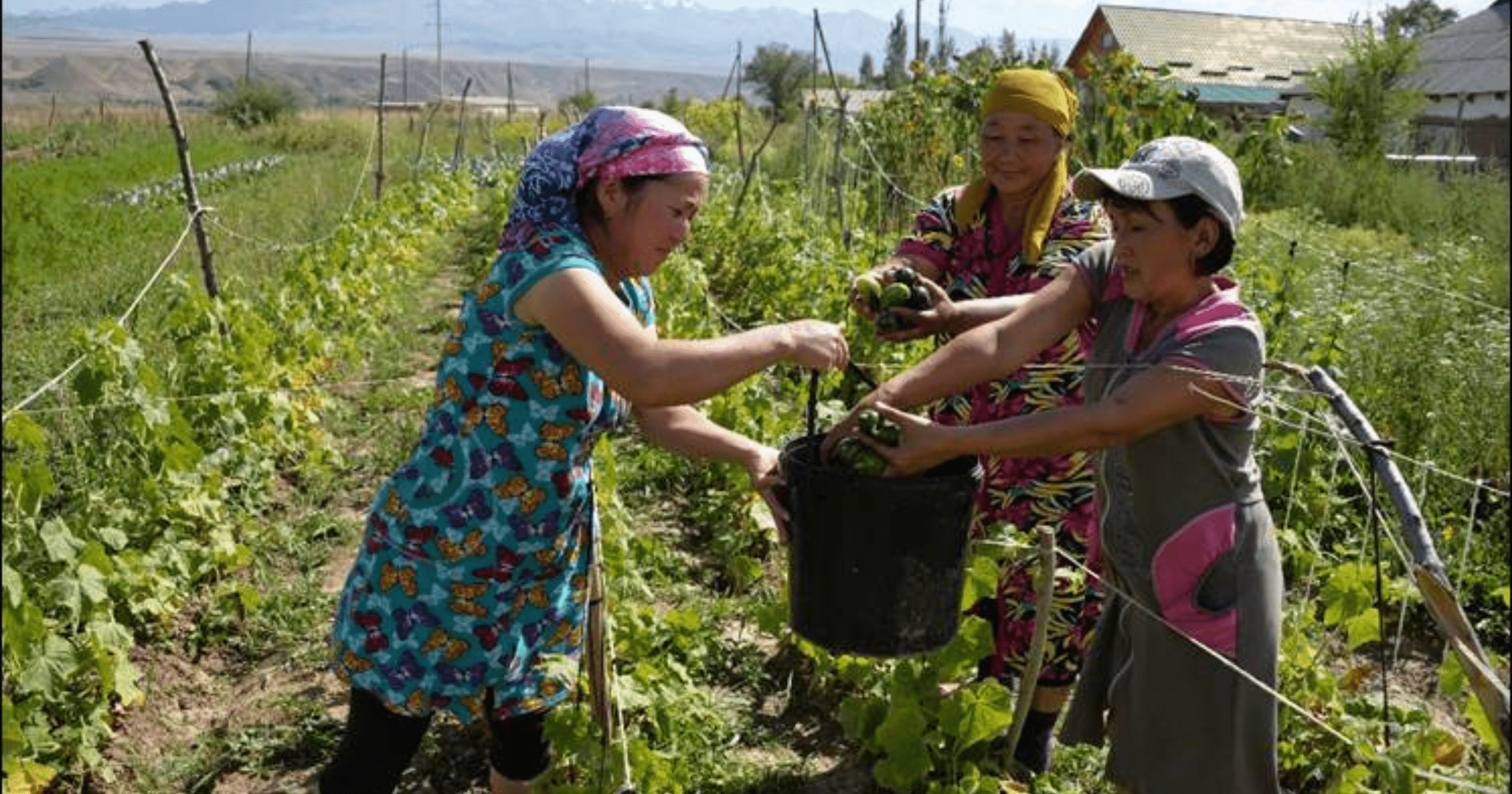 Зарплата женщин в Кыргызстане в среднем составляет 75% от зарплаты мужчин