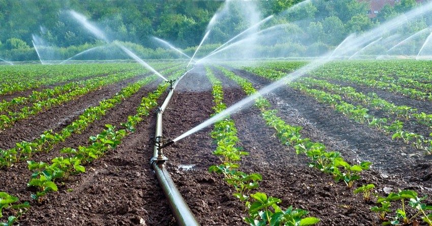 Подача воды для орошения полей составила 88%
