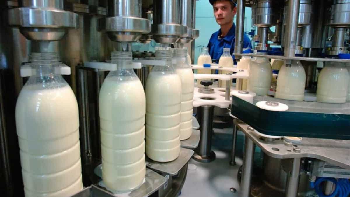 Инспекция Россельхознадзора приедет в Кыргызстан проверять молочные лаборатории