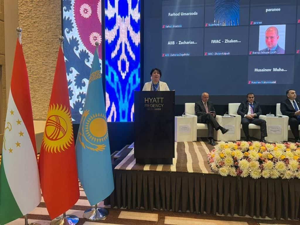 Кыргызстан выступил за компенсационные механизмы водопользования в ЦА