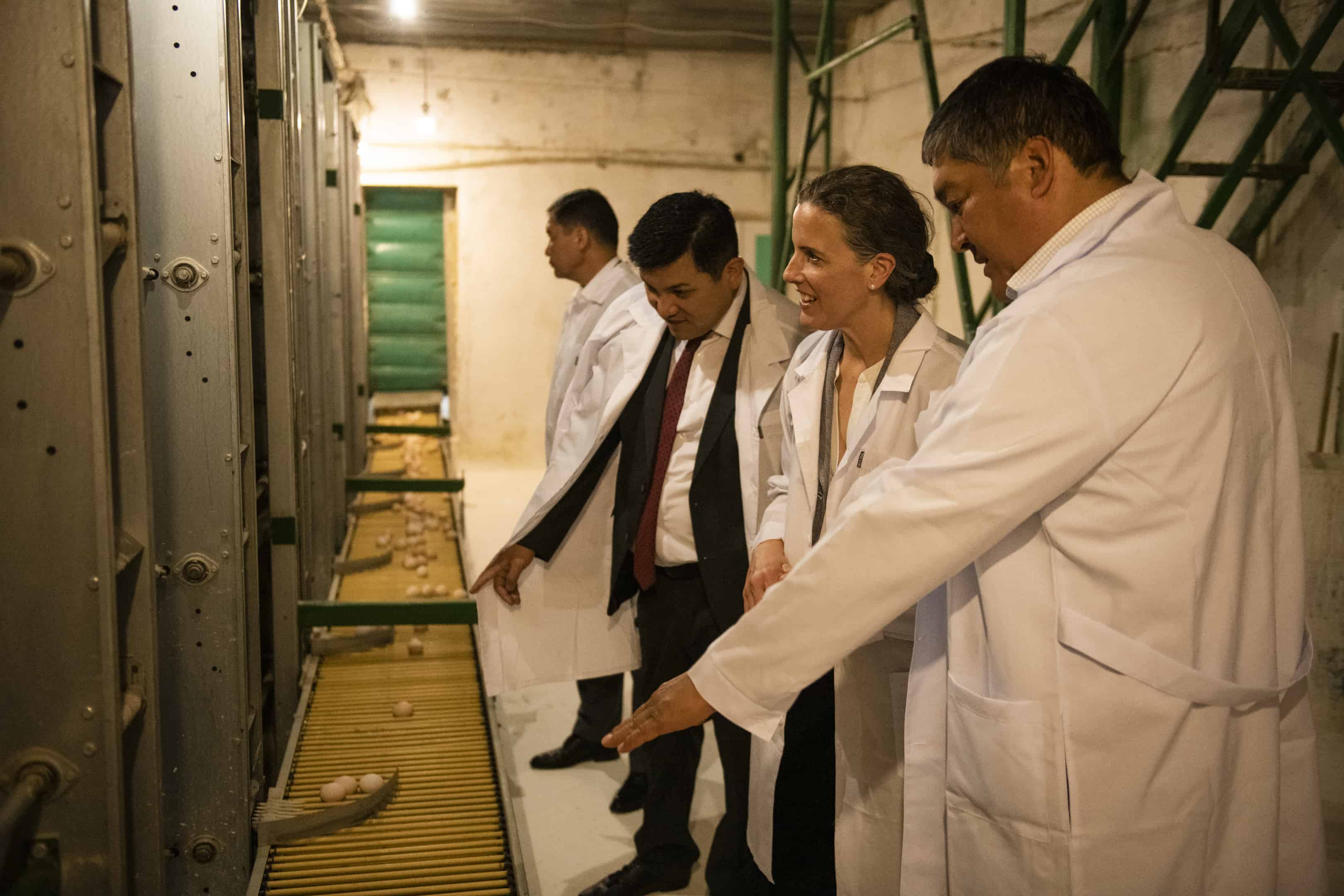 На птицефабрике «СоцАгро» установили новое оборудование за 6.8 млн сомов