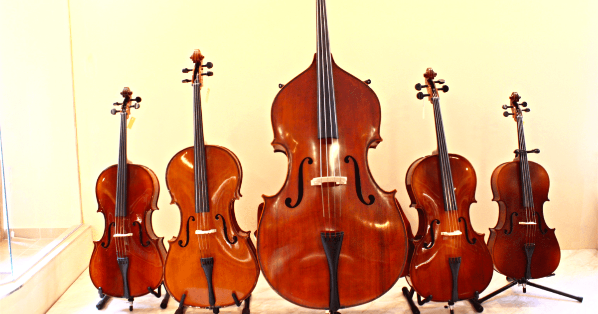 В Кыргызстане хотят создать цех по производству скрипок и виолончелей по японским технологиям