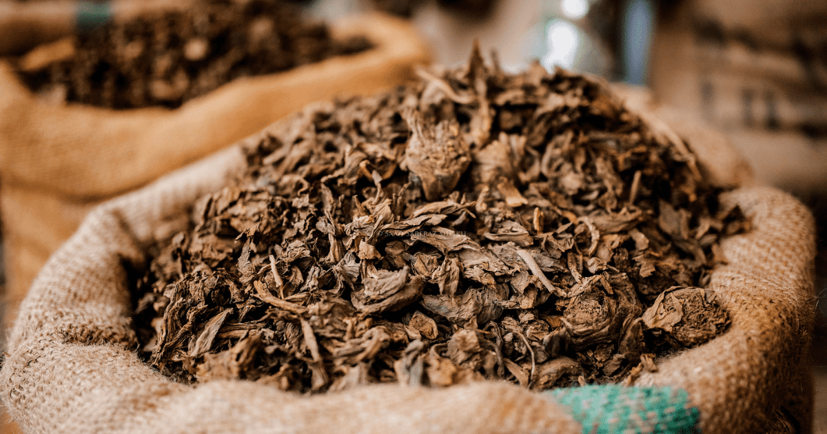Экспорт табака из Кыргызстана в Италию растет с каждым годом и достиг $424 тысяч