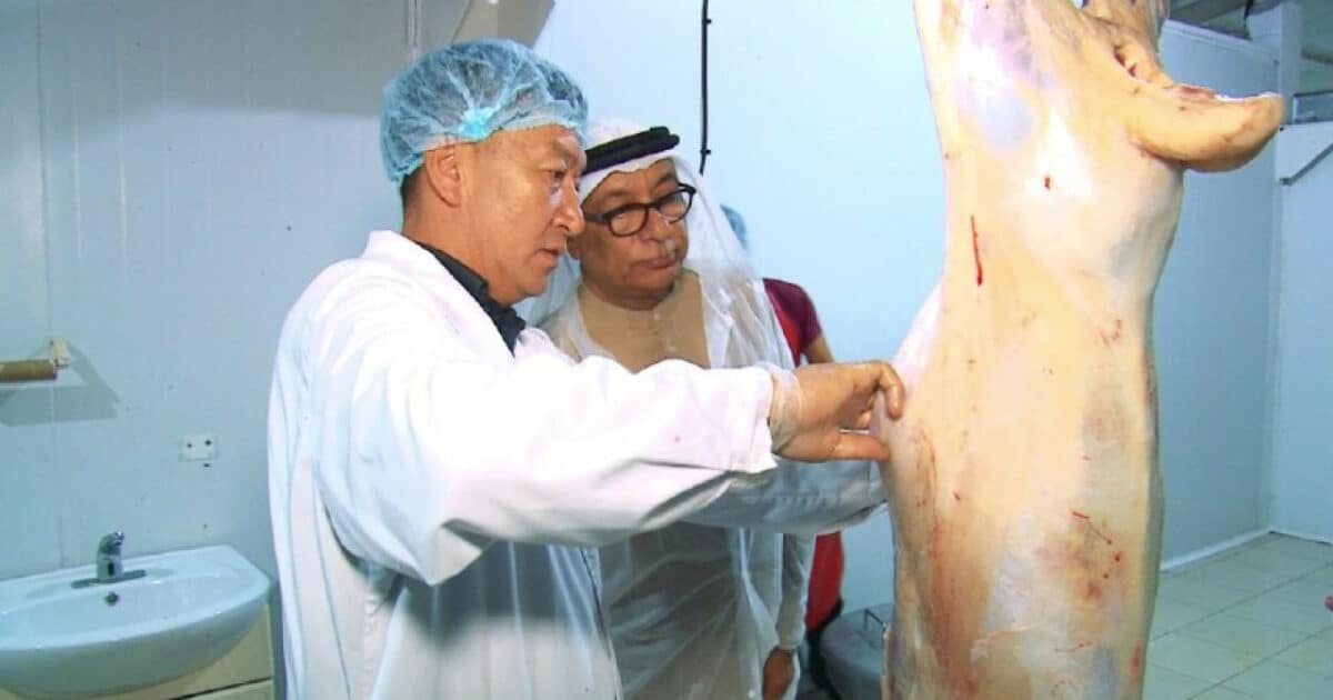 Кыргызстан еженедельно отправляет в ОАЭ по шесть тонн мяса