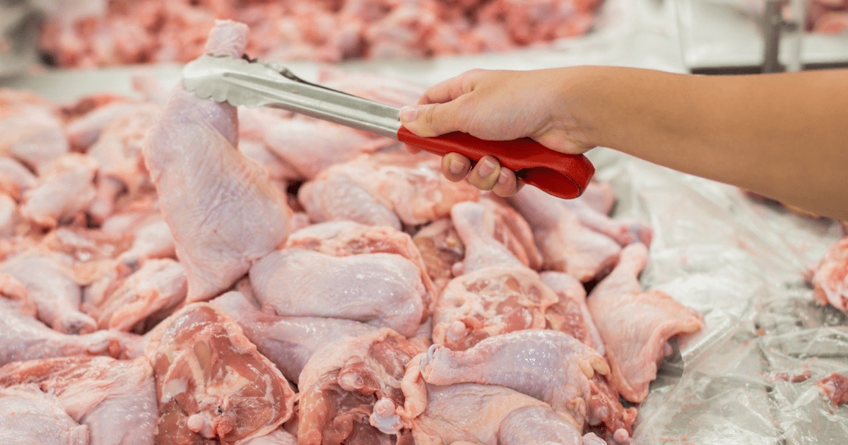 С 2023 года птицефермы КР должны соблюдать  требования ЕАЭС по безопасности мяса птицы