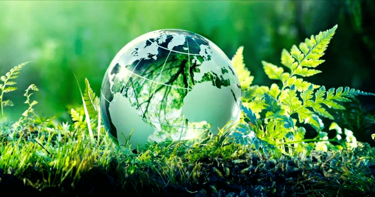 Эксперты советуют государству использовать международные практики для развития зеленой экономики