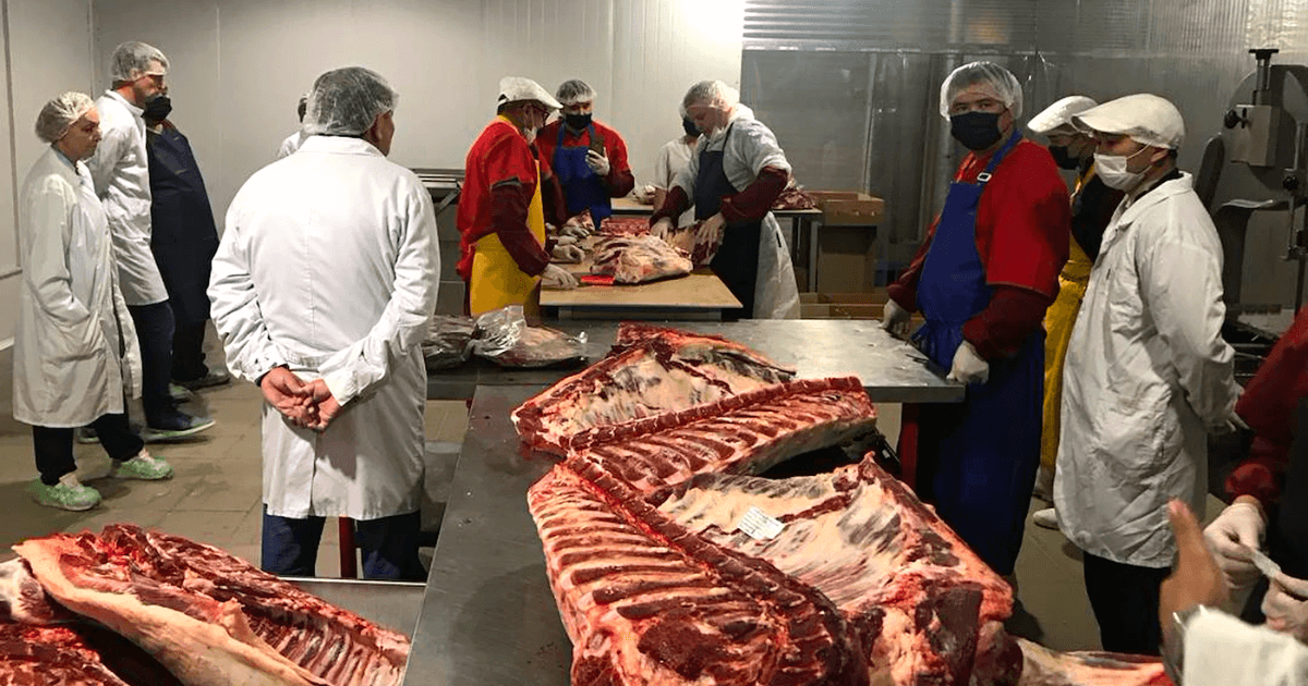 Кыргызстанская компания «Торо» может начать экспорт мяса в Венгрию