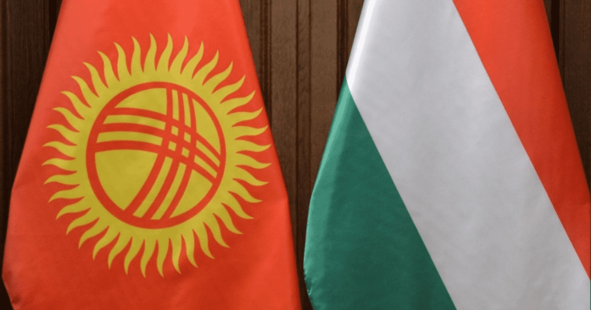 Все средства Кыргызско-венгерского фонда развития хотят направить в один проект