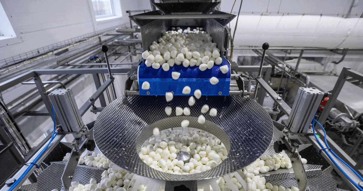 Еще один российский производитель сыров намерен выйти на рынок Кыргызстана