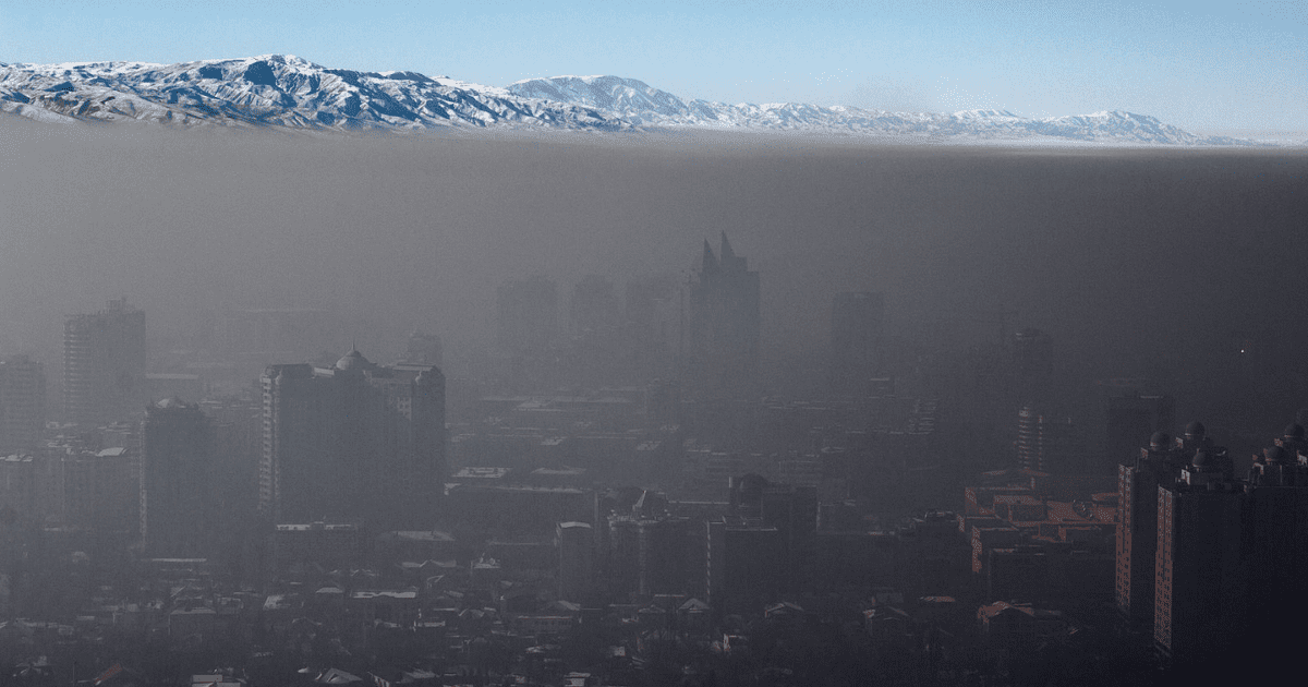 Бизнес-ассоциация ЖИА предложила план действий по борьбе со смогом