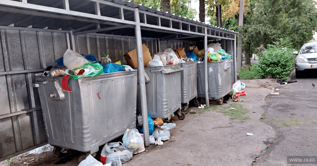 «Тазалык» хочет закупить мусорные контейнеры по 23 тысячи сомов за штуку
